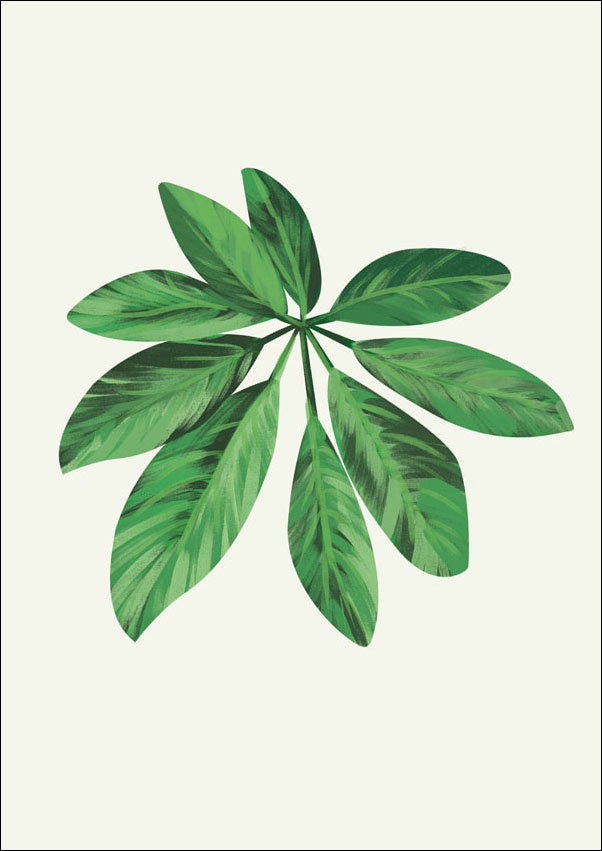 Plakat, Liść VII, 30x40 cm