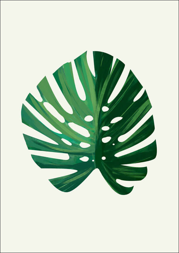 Plakat, Liść IV, 30x40 cm