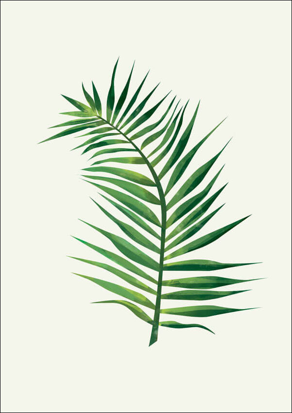 Plakat, Liść V, 50x70 cm