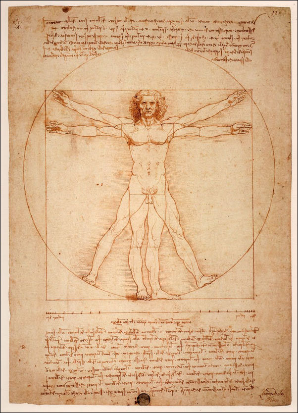 Plakat, Anatomia Leonardo da Vinci, 21x29,7 cm
