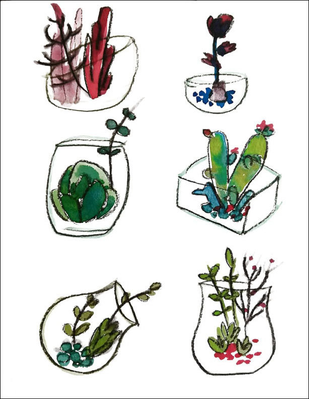 Plakat, Botaniczne II, 60x80 cm