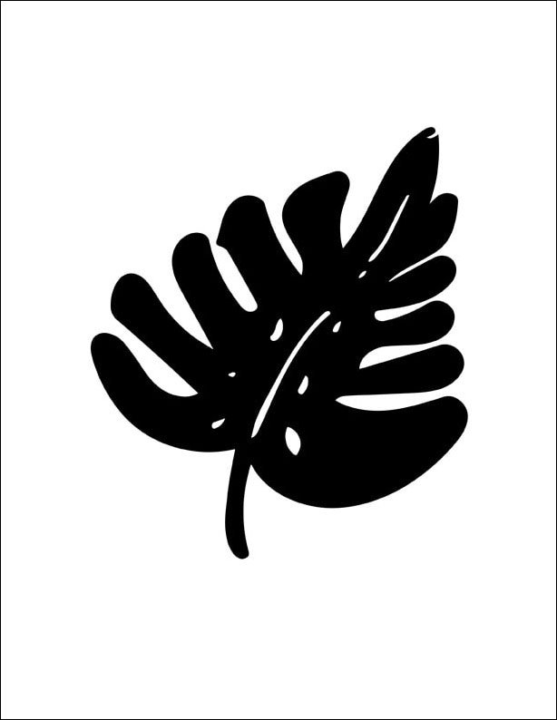 Plakat, Monstera, 59,4x84,1 cm