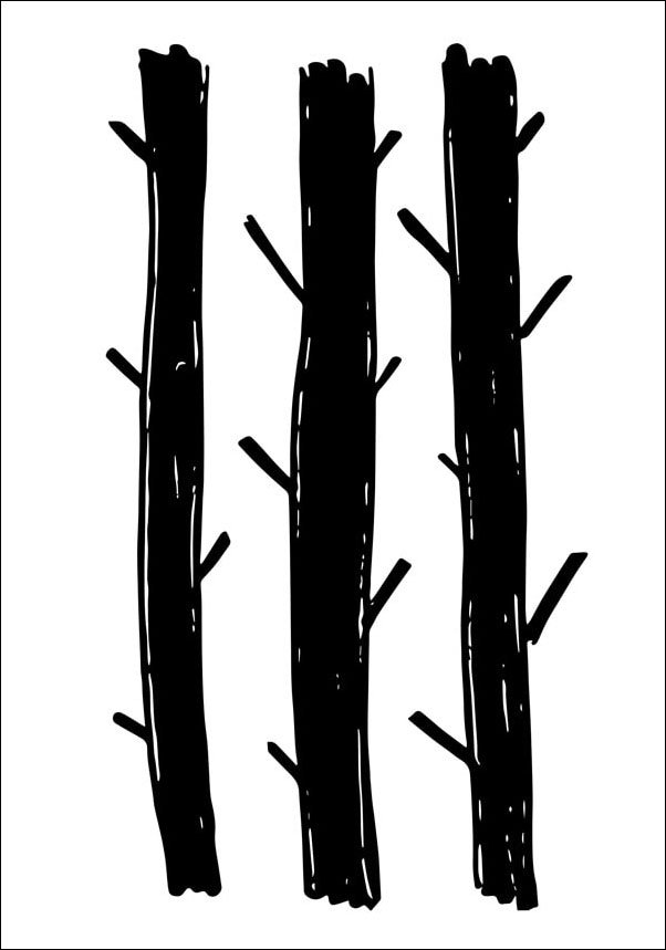 Drzewa - plakat 50x70 cm