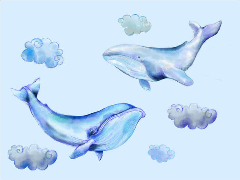 Plakat, Wieloryby, 100x70 cm