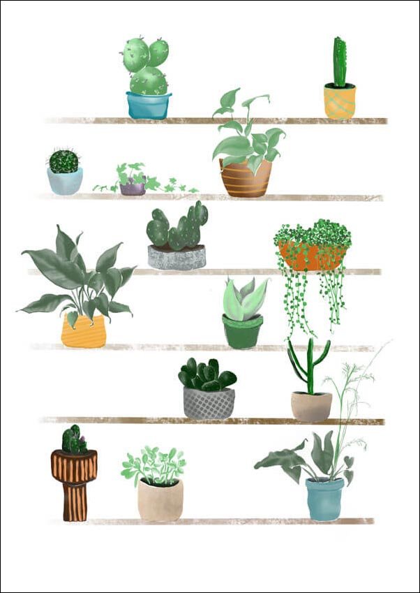 Plakat, Rośliny, 30x40 cm