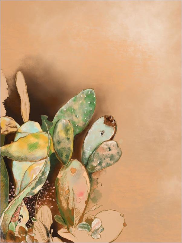 Plakat, Kaktusy, 40x50 cm