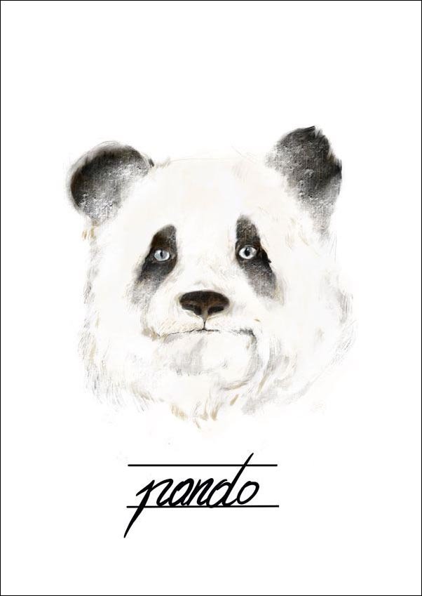 Plakat, Panda, 50x70 cm