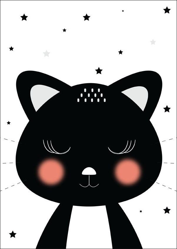 Plakat, Kotek czarny, 40x50 cm