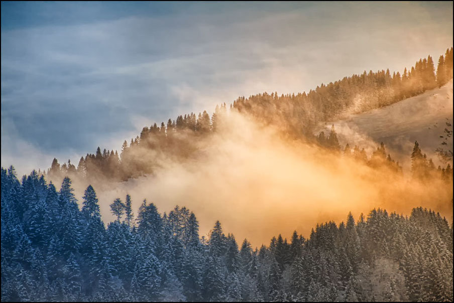 Plakat, Szczyty drzew w górach – 70x50 cm