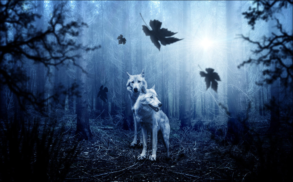 Plakat, Wataha – 80x60 cm