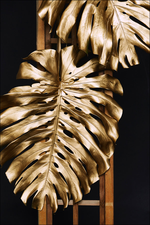 Plakat, Złota monstera, 61x91,5 cm