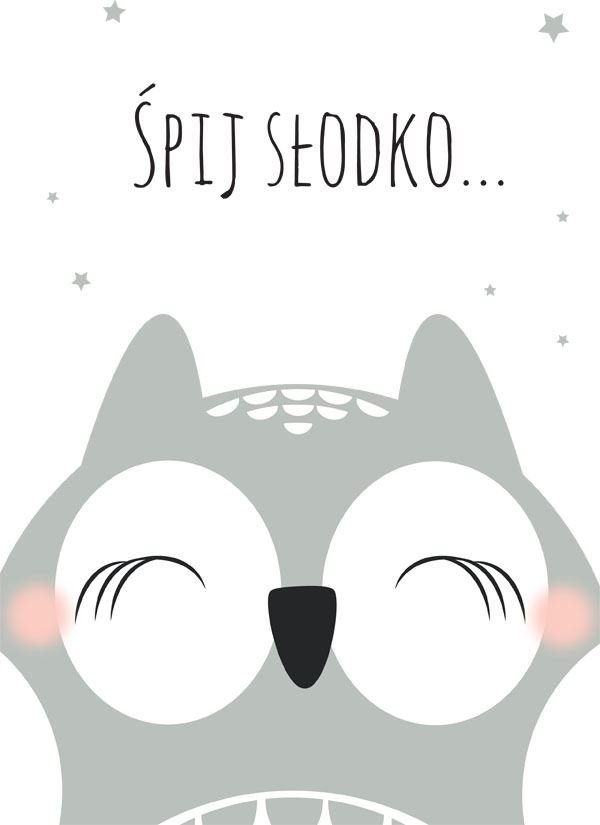 Plakat, Śpiąca sowa na białym tle, 30x40 cm