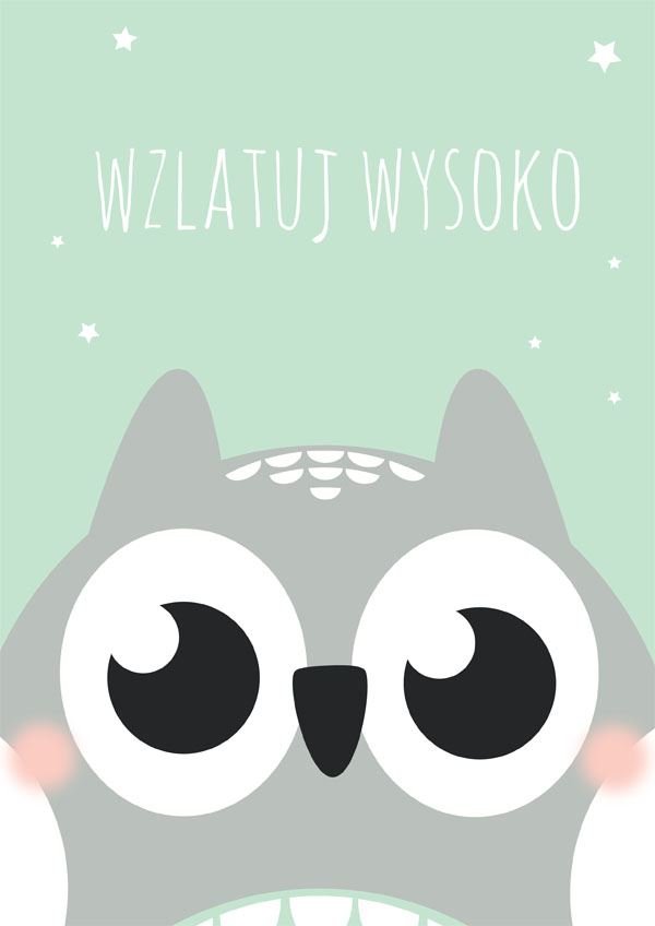 Plakat, Sowa miętowe tło, 61x91,5 cm
