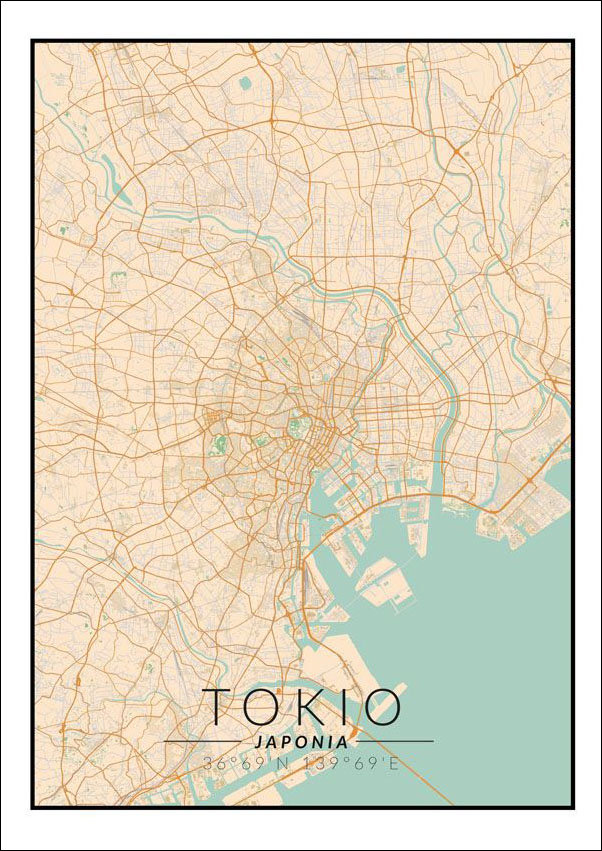 Plakat, Tokio mapa kolorowa, 70x100 cm