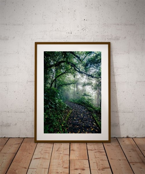 Plakat, Path, 70x100 cm