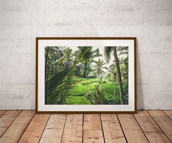 Plakat, Tegallalang II, 70x50 cm