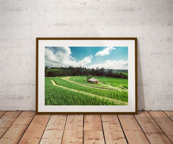Plakat, Pola, 100x70 cm