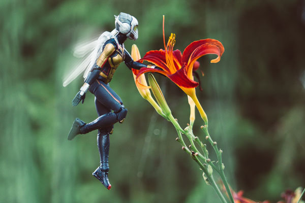 Plakat, Wasp Ver2, 91,5x61 cm