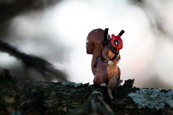 Plakat, Squirellpool, 40x30 cm