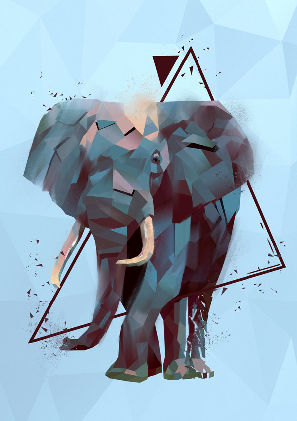 Plakat, Słonik, 70x100 cm