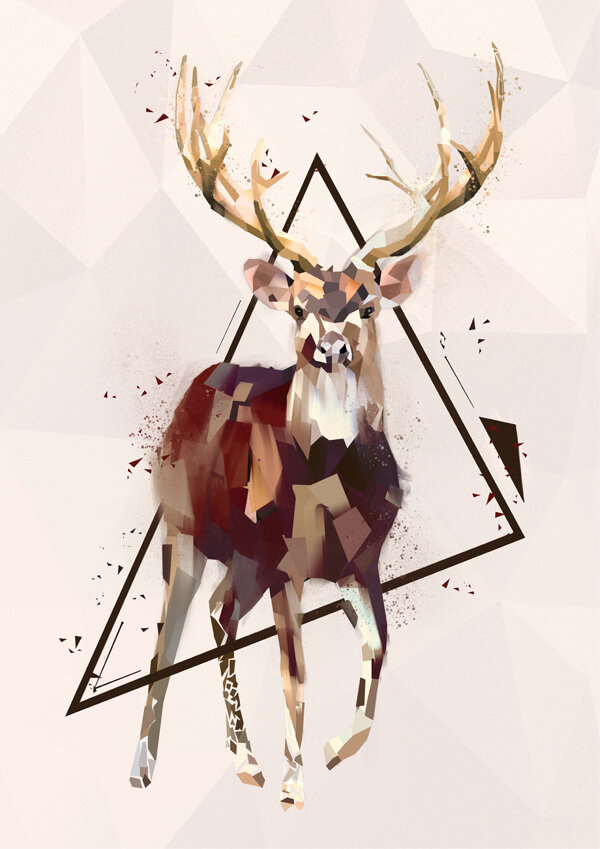 Plakat, Jeleń, 50x70 cm