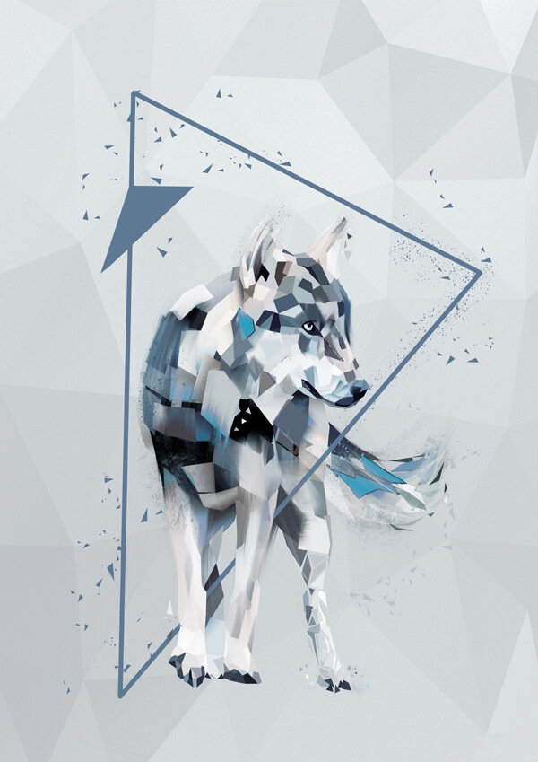 Plakat, Wilk, 61x91,5 cm