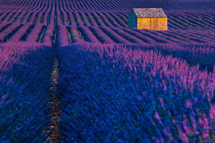 Plakat, Prowansja, Francja, 70x50 cm