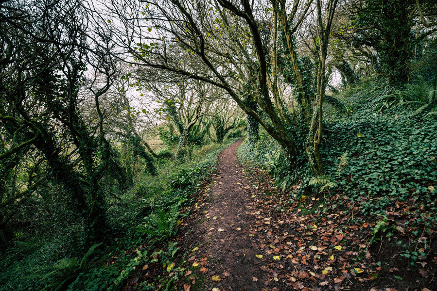 Plakat, Coast Path - Plymouth, 50x40 cm