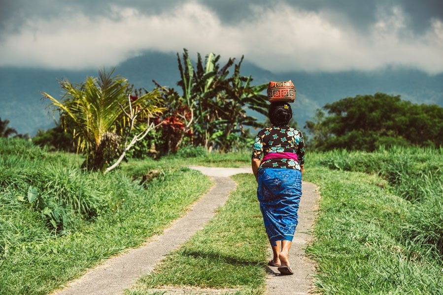 Plakat, Gdzie jest ważka?, 50x40 cm