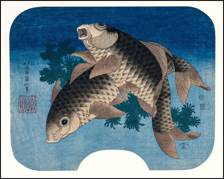 Plakat, Hokusai, Carp Swimming by Water Weeds, 50x40 cm