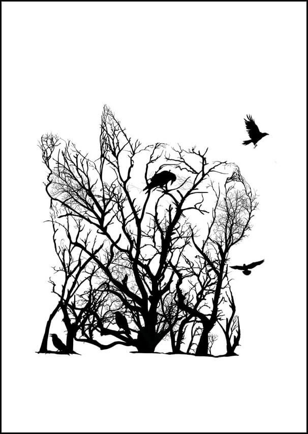 Plakat, Kot, 60x80 cm