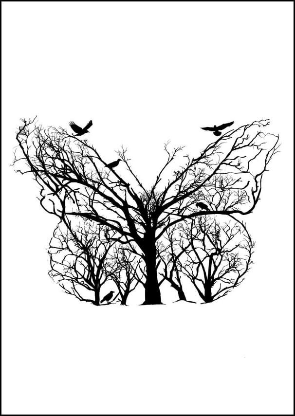 Plakat, Motyl, 70x100 cm