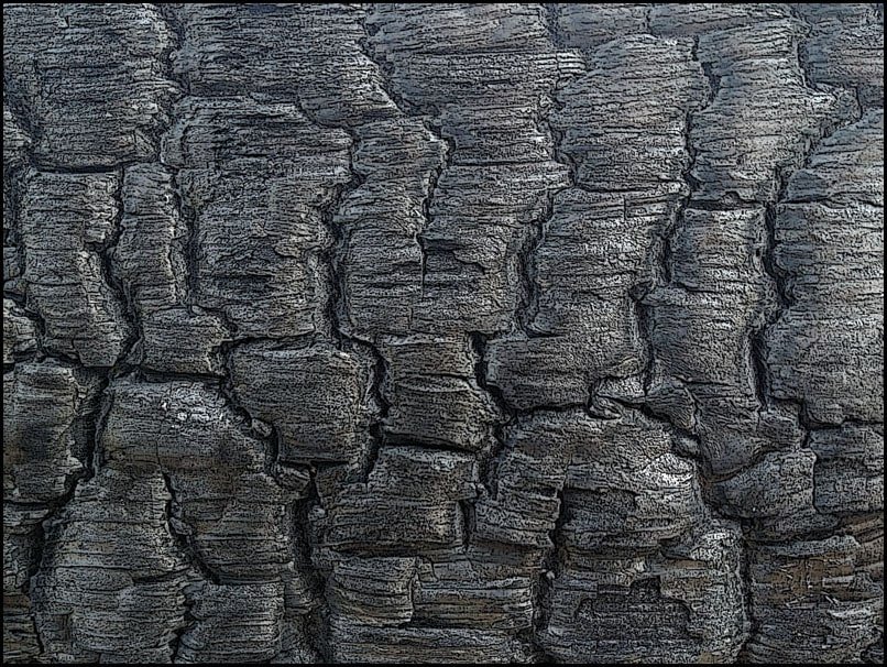 Plakat, Spalony, 70x50 cm
