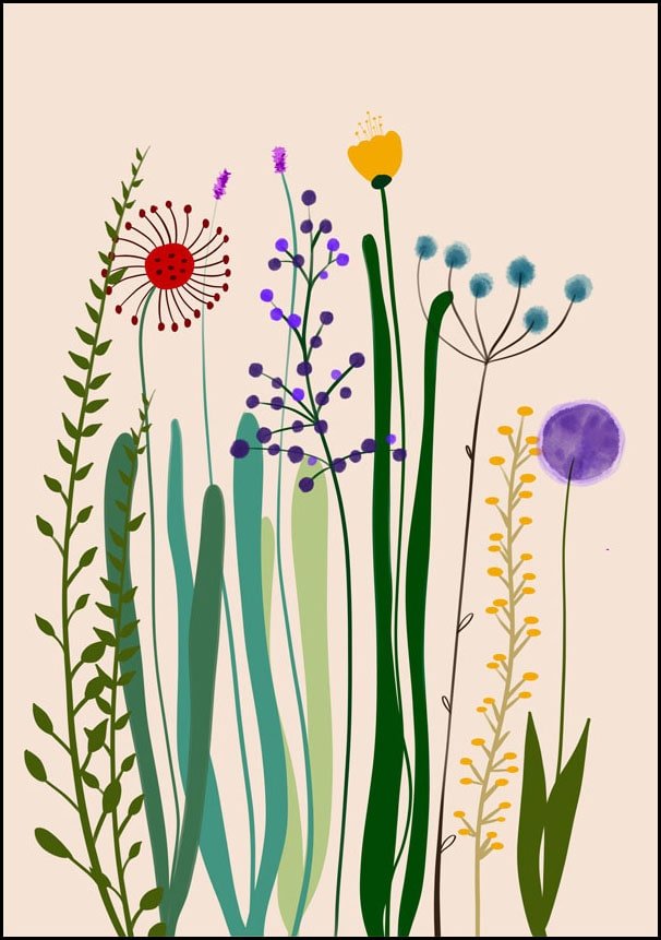 Plakat, Polne kwiaty II, 20x30 cm