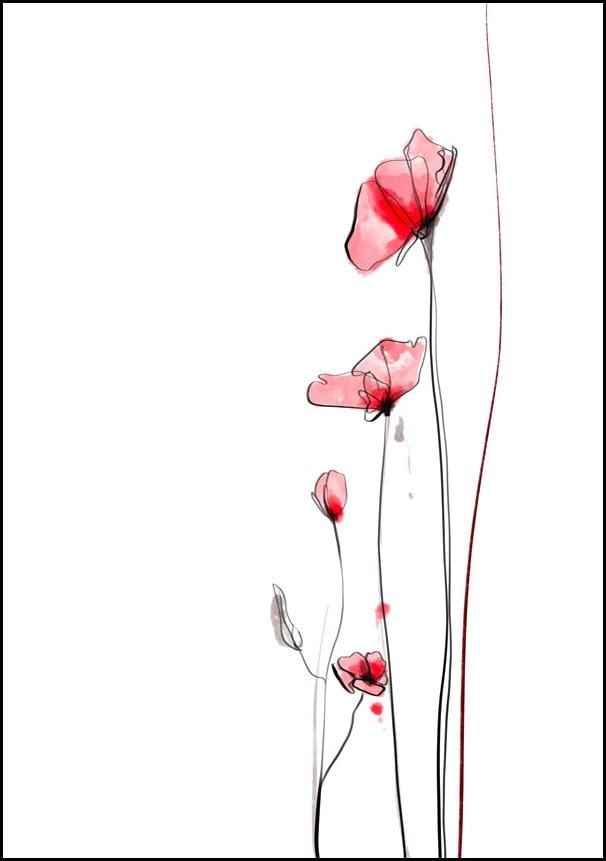 Plakat, Maki, 40x50 cm