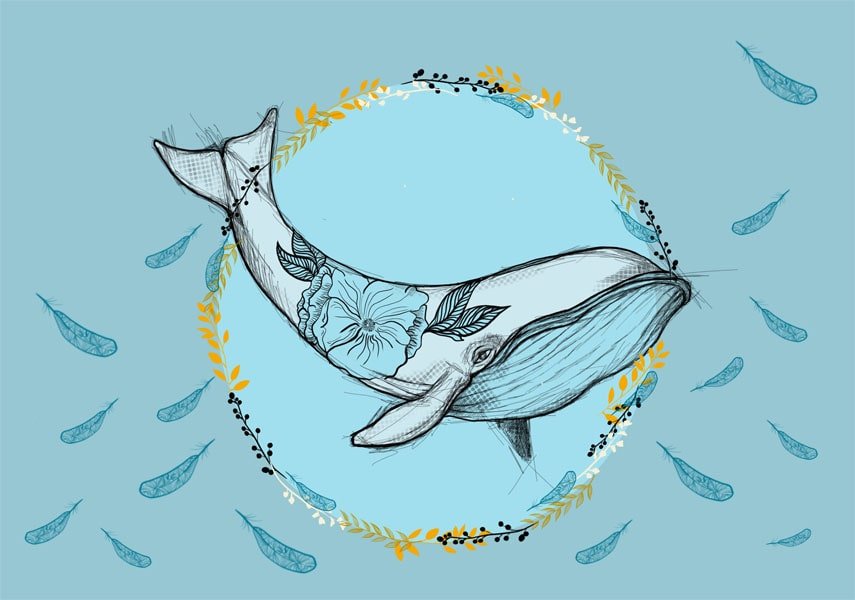 Plakat, Kwiecisty wieloryb, 40x30 cm