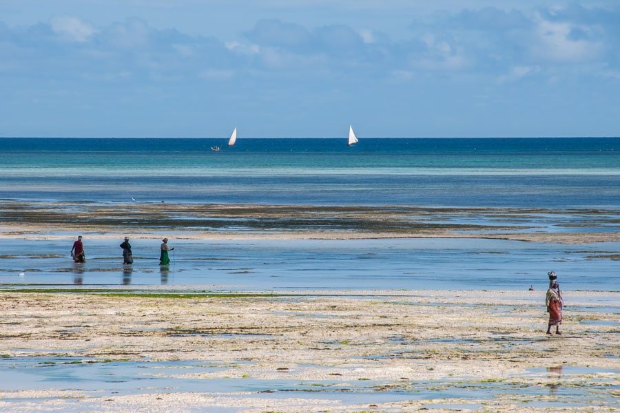 Plakat, Turkusem malowane Zanzibar, 60x40 cm