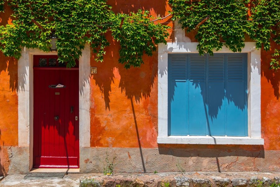 Plakat, Bluszcz, 70x50 cm