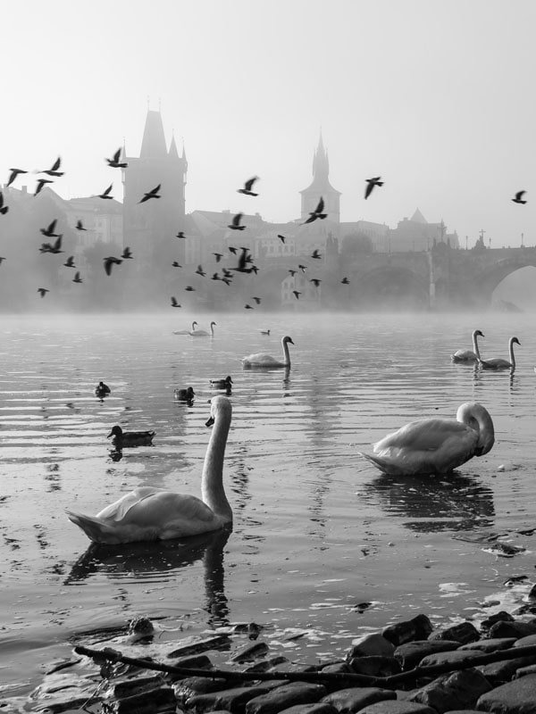 Plakat, Poranek, 50x70 cm