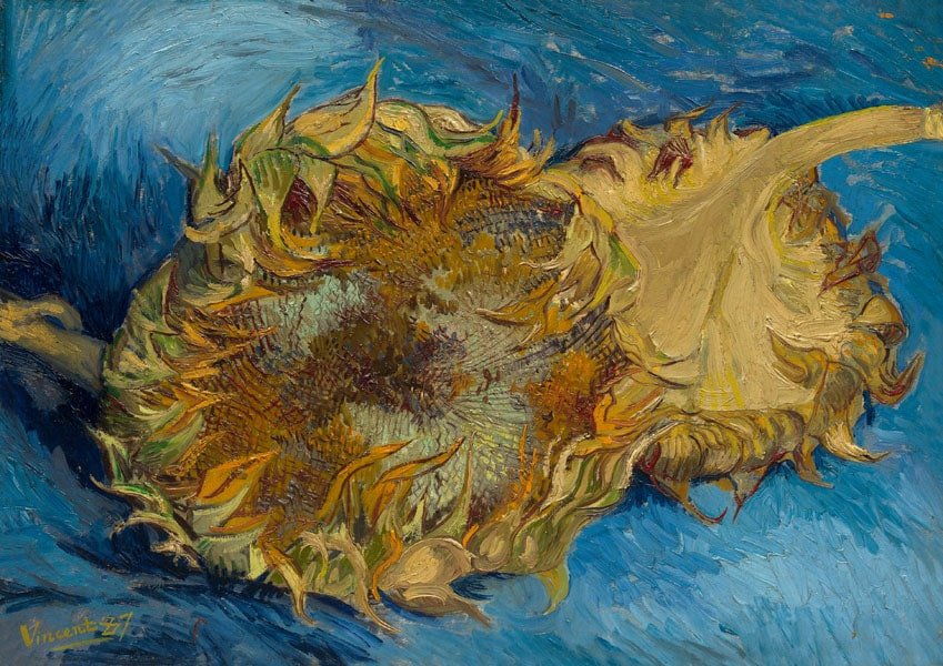 Plakat, Sunflowers, Vincent van Gogh, 100x70 cm