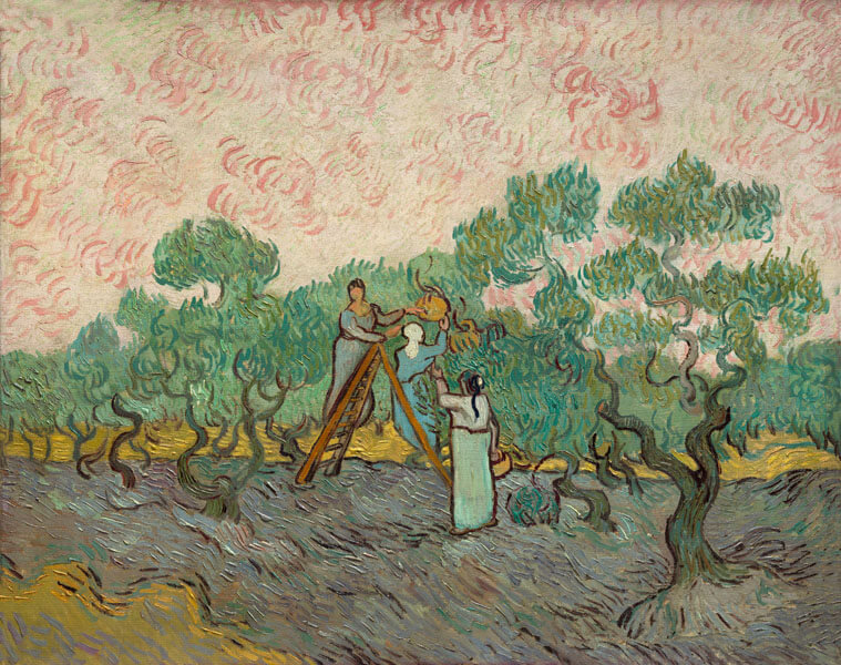 Plakat, Women Picking Olives, Vincent van Gogh, 100x70 cm