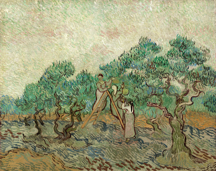 Plakat, The Olive Orchard, Vincent van Gogh, 40x30 cm