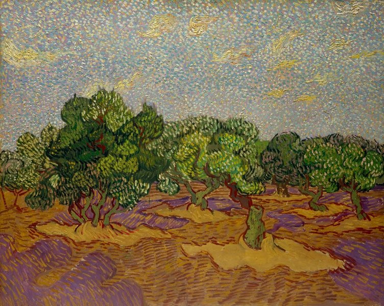 Plakat, Olive Trees, Vincent van Gogh, 29,7x21 cm