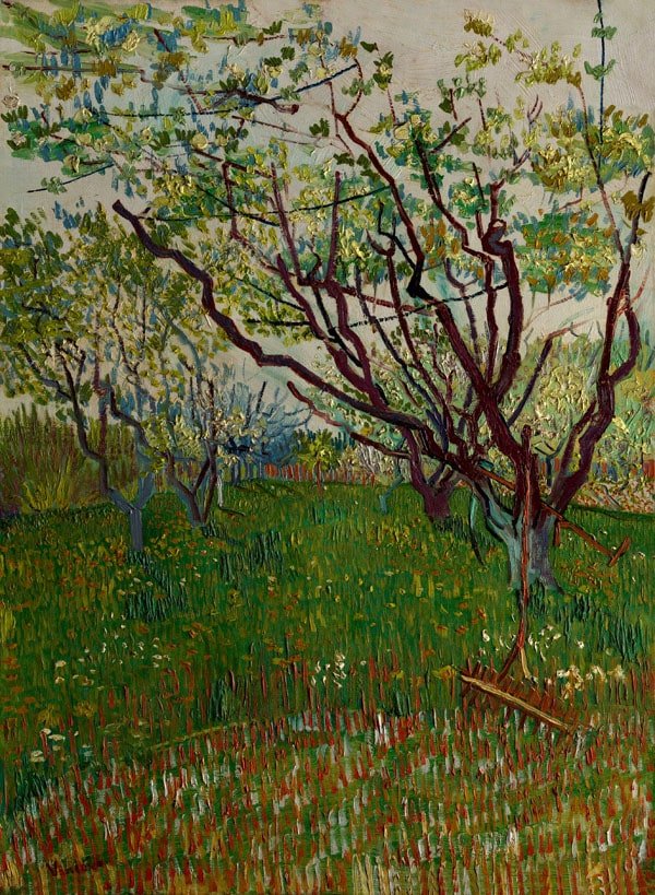 Plakat, The Flowering Orchard, Vincent van Gogh, 40x60 cm