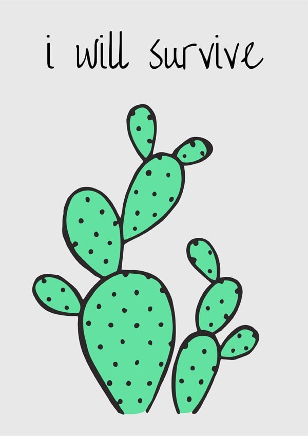 Plakat, Kaktus, 40x50 cm