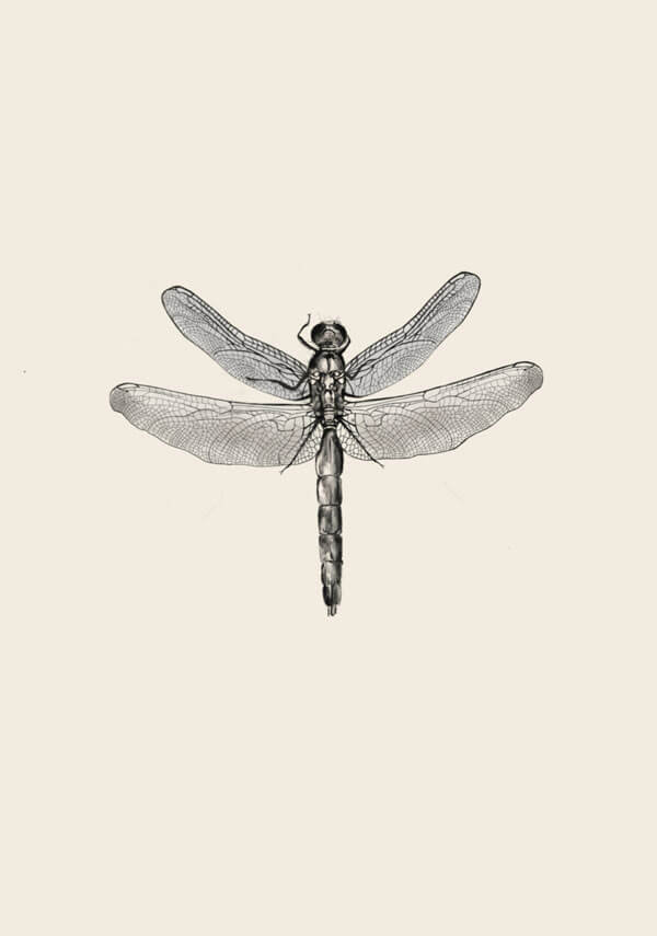Galeria Plakatu, Plakat, WażKa, 40x50 cm