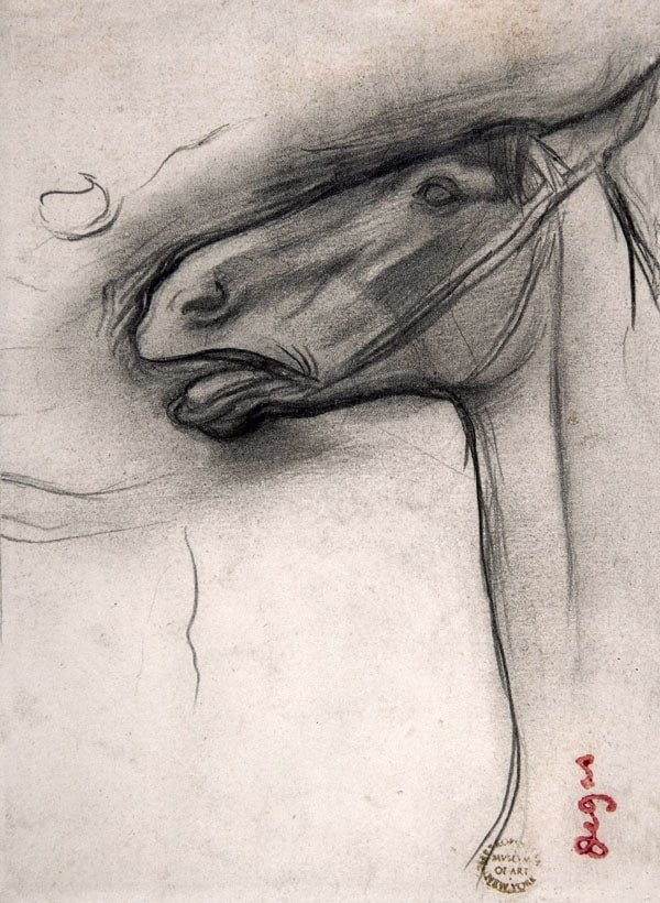 Galeria Plakatu, Plakat, Head Of A Horse, Edgar Degas, 20x30 cm