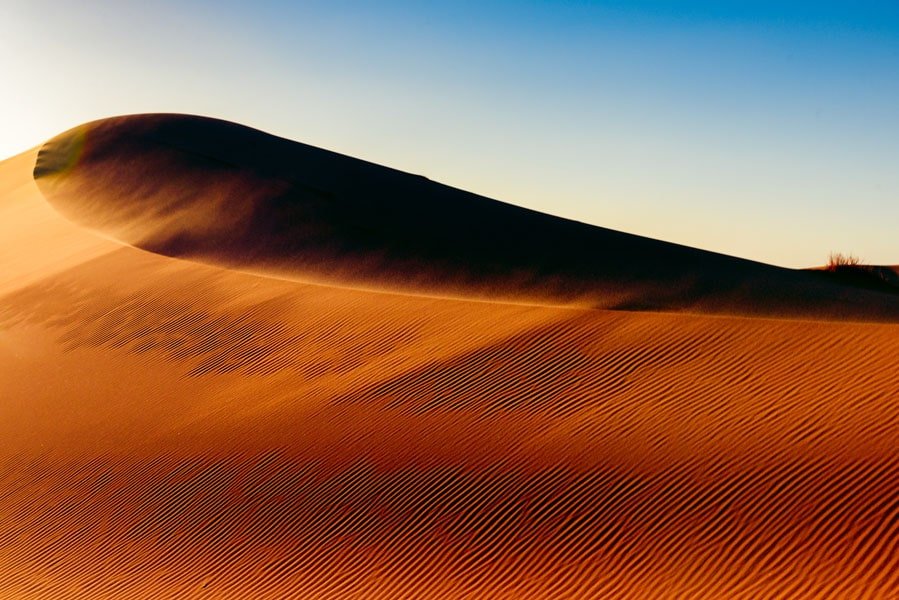 Galeria Plakatu, Plakat, Saharyjski Wiatr, Premium, 70x50 cm