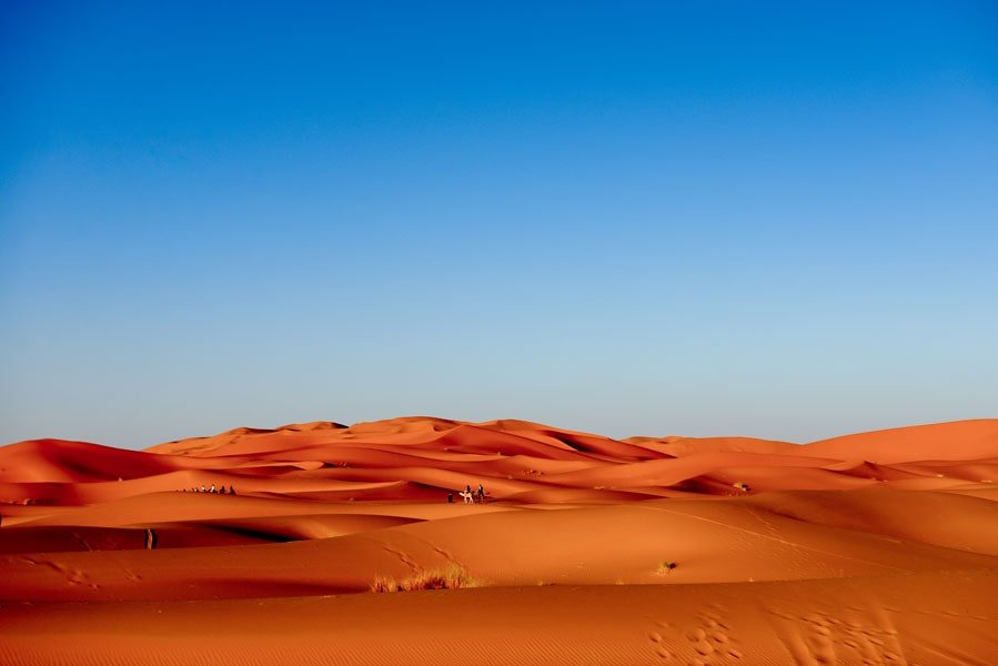 Galeria Plakatu, Plakat, Sahara Karawana, Premium, 50x40 cm