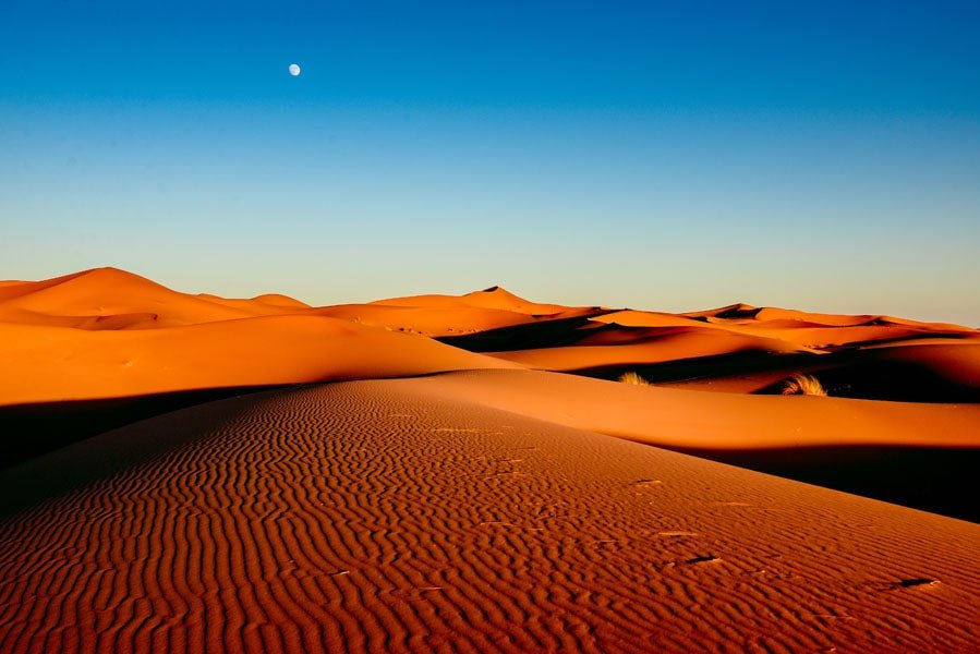 Galeria Plakatu, Plakat, Saharyjski Księżyc, Premium, 70x50 cm